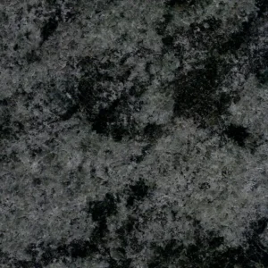 american impala (copy)